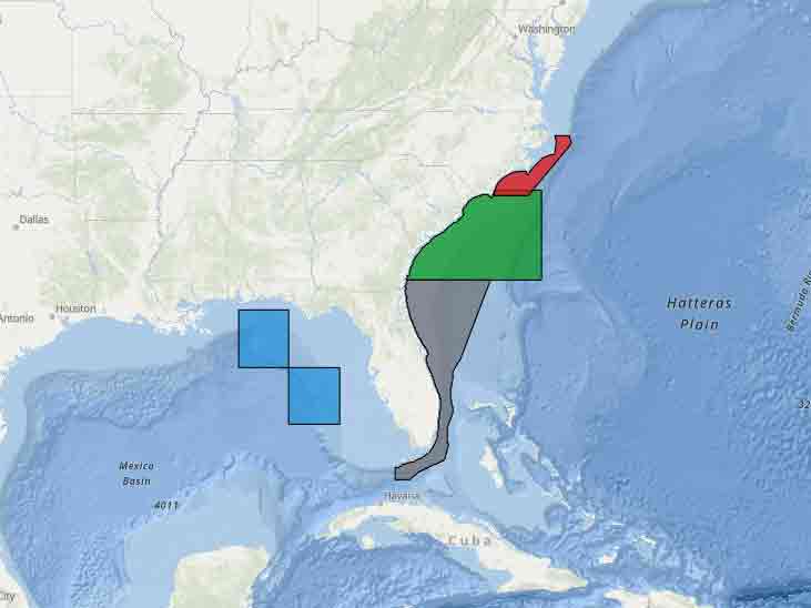 closed areas at risk of longlining