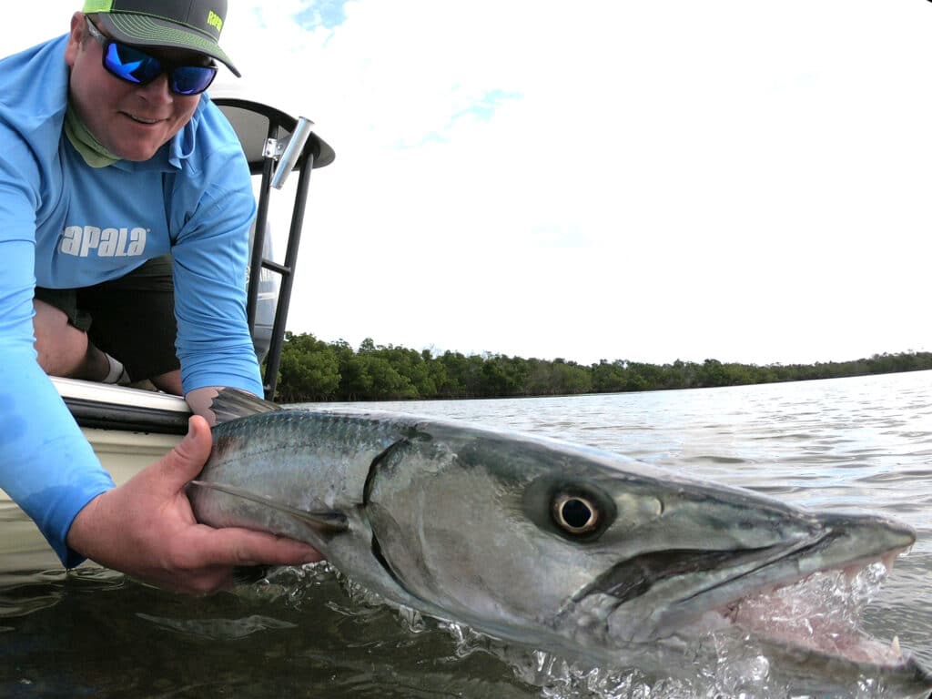 florida keys barracuda