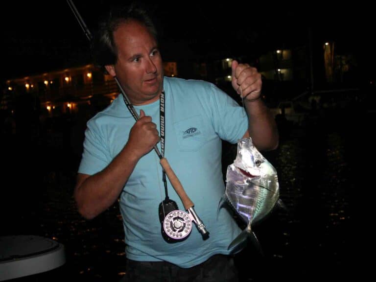 lookdown on fly tackle caught at night