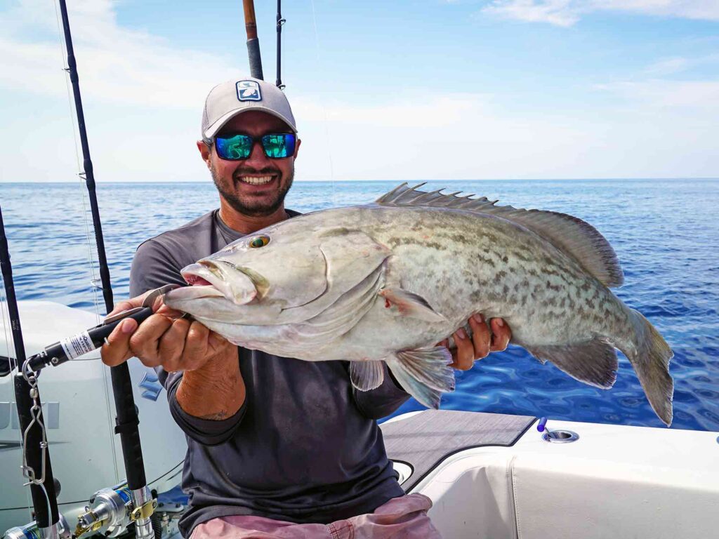 gag grouper catch and release