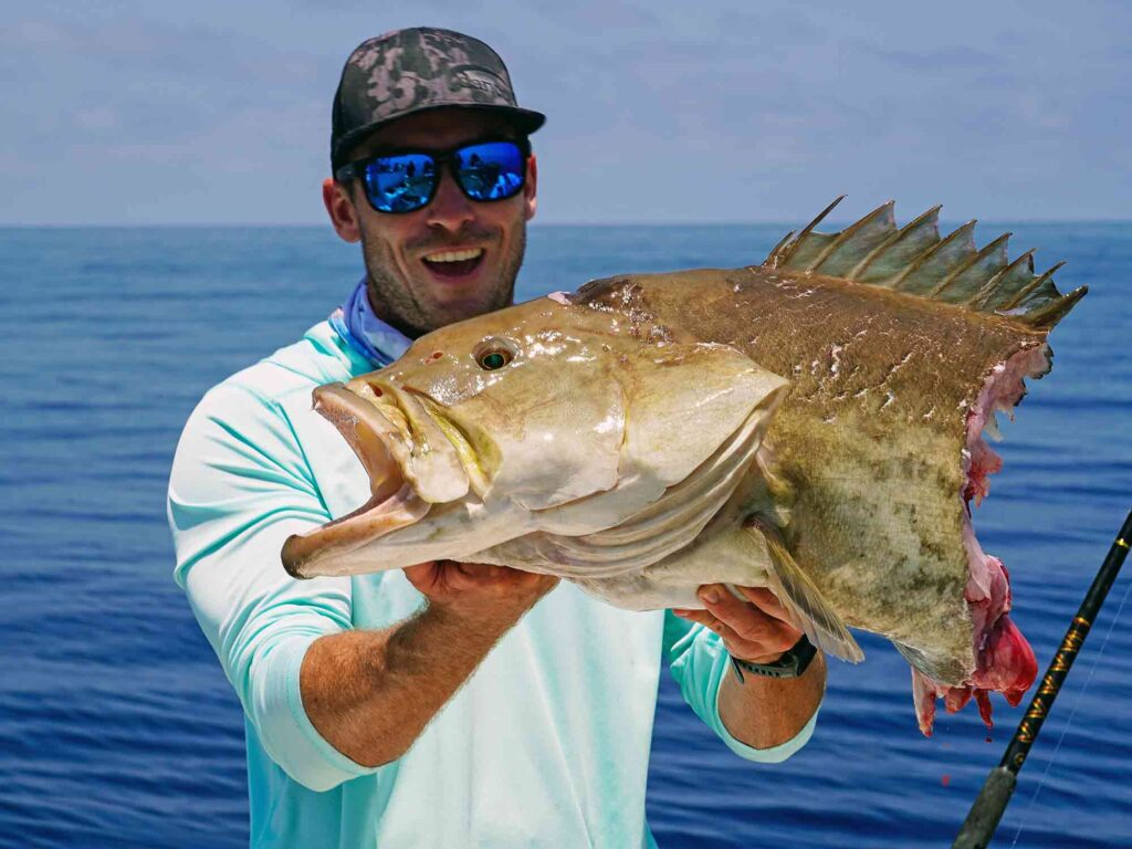 grouper eaten in half