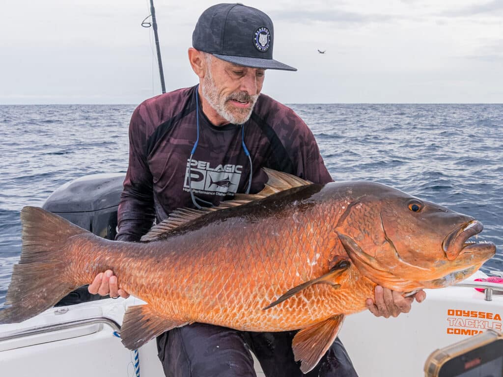 cubera snapper