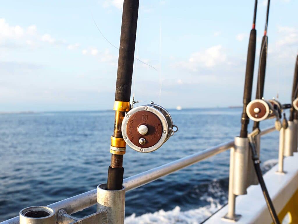 Lineup of fishing rods