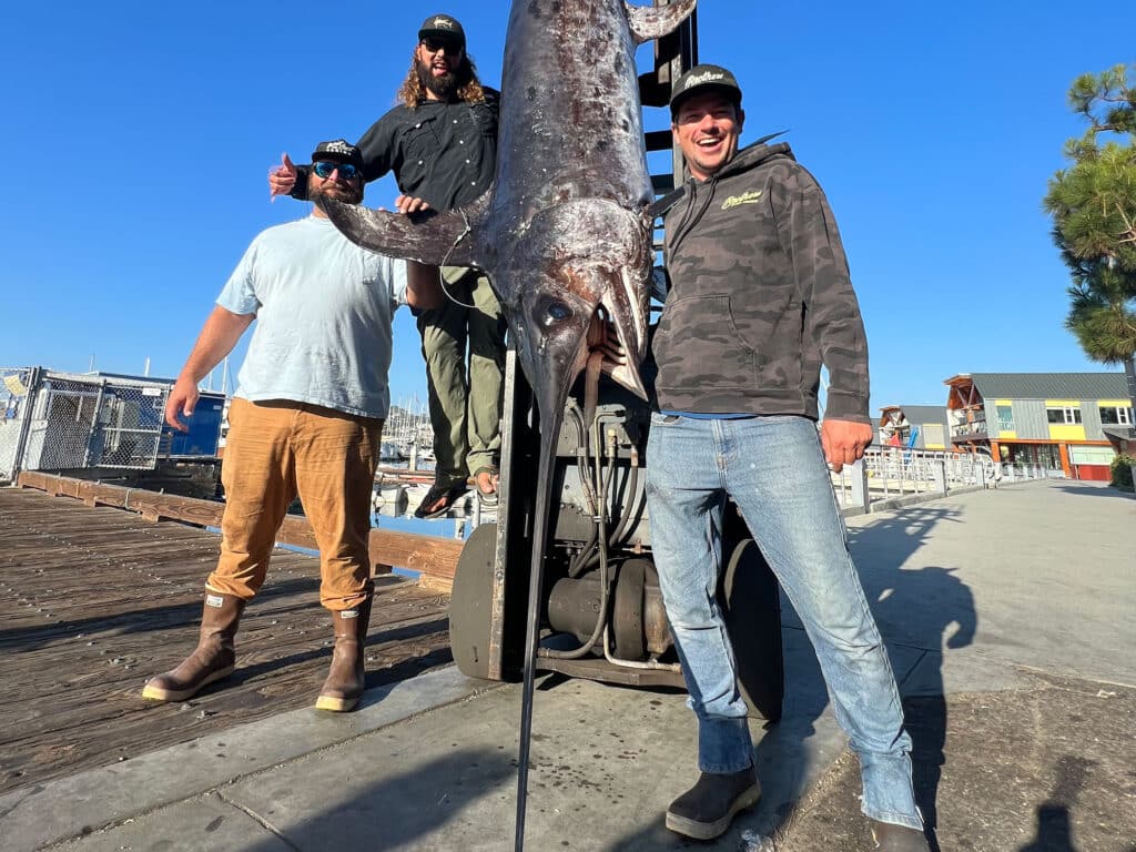 California state record swordfish