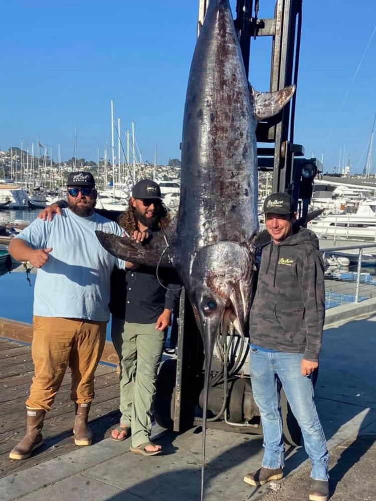 California record swordfish