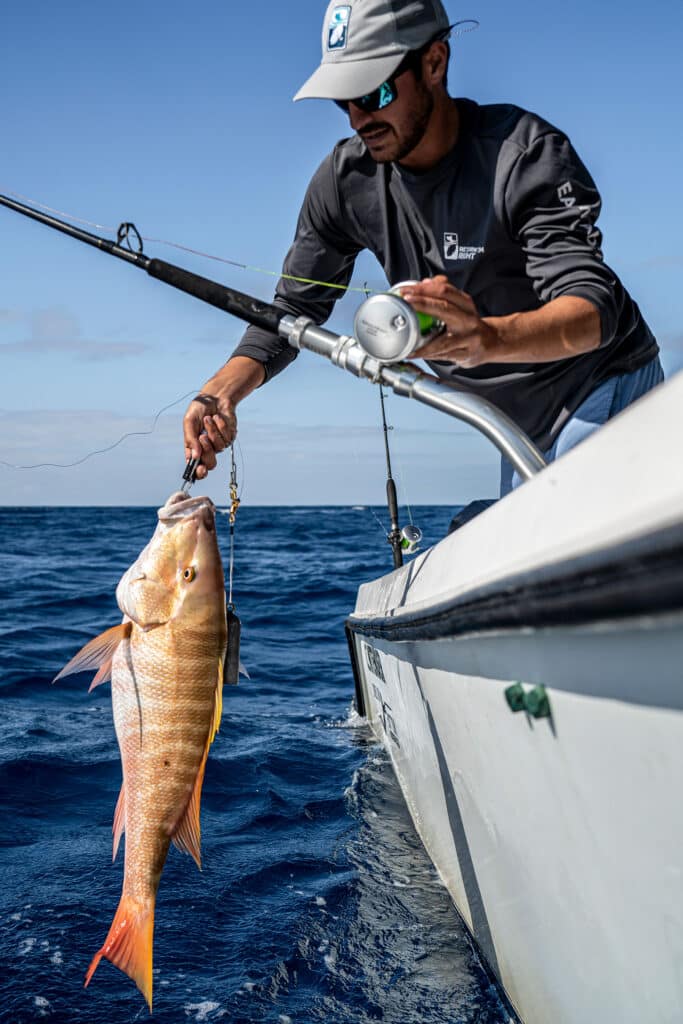 snapper release with descending device