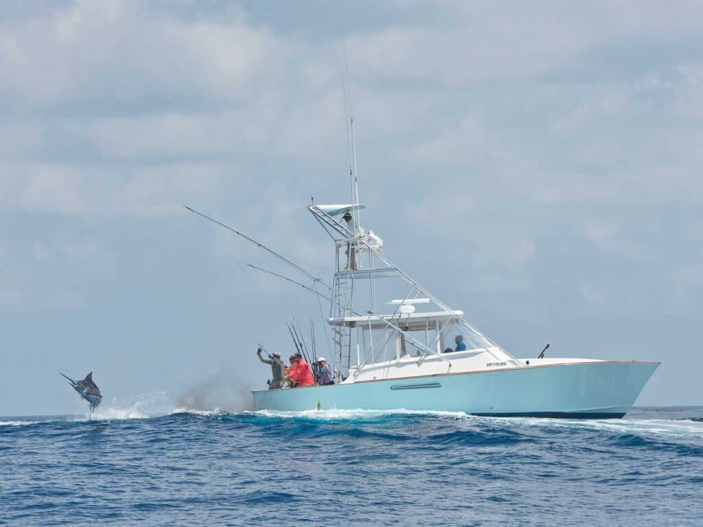 Guatemala marlin jumping behind the boat