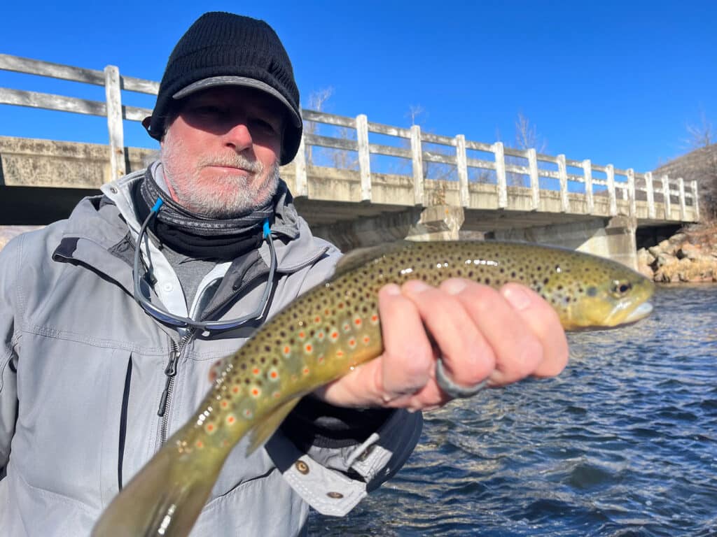 brownt trout Utah fly fishing