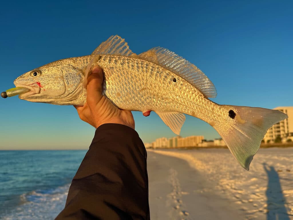 Find Fish When Surf Fishing the Beach
