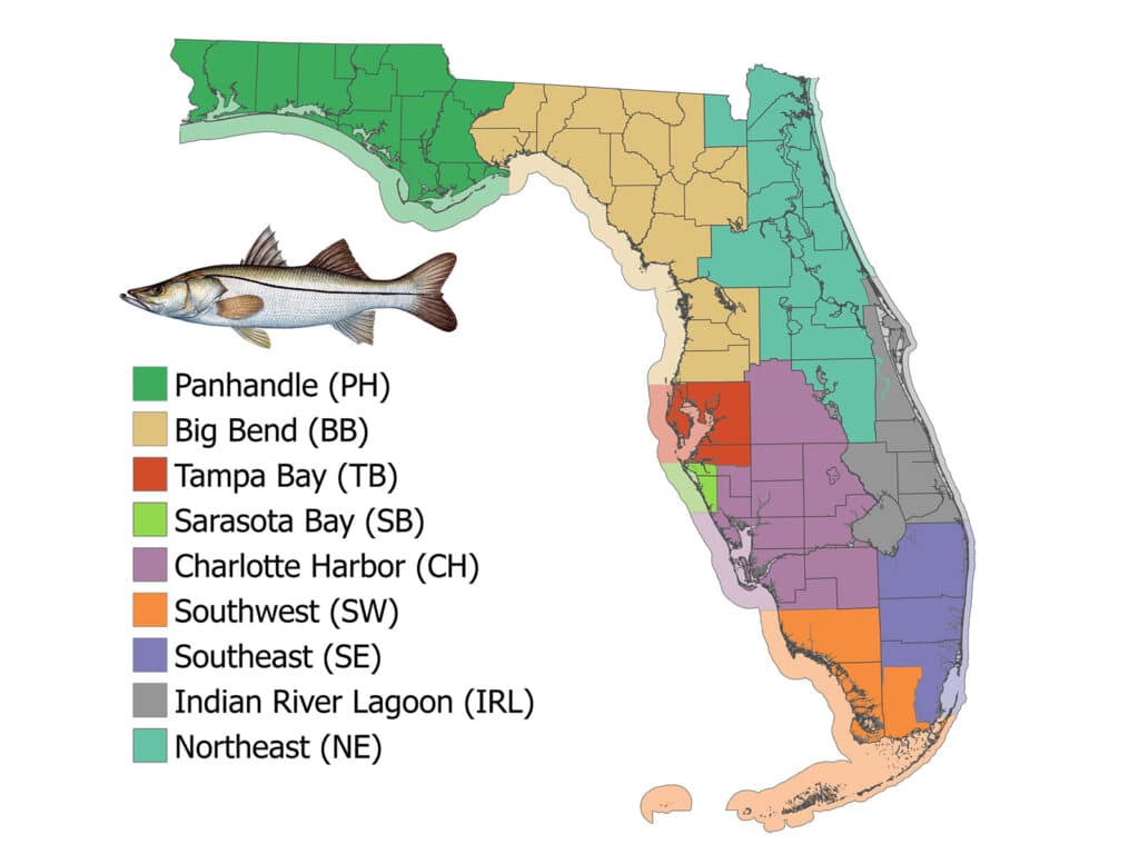 Florida different snook regions