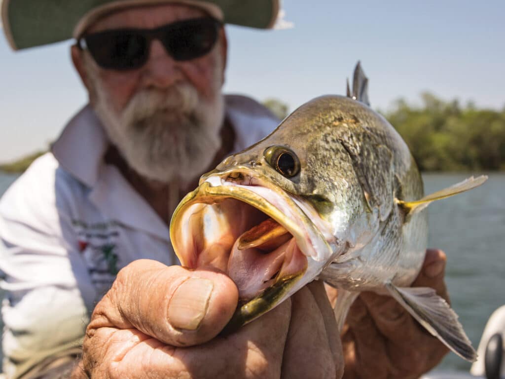 Fishing Australia's Kimberley Region