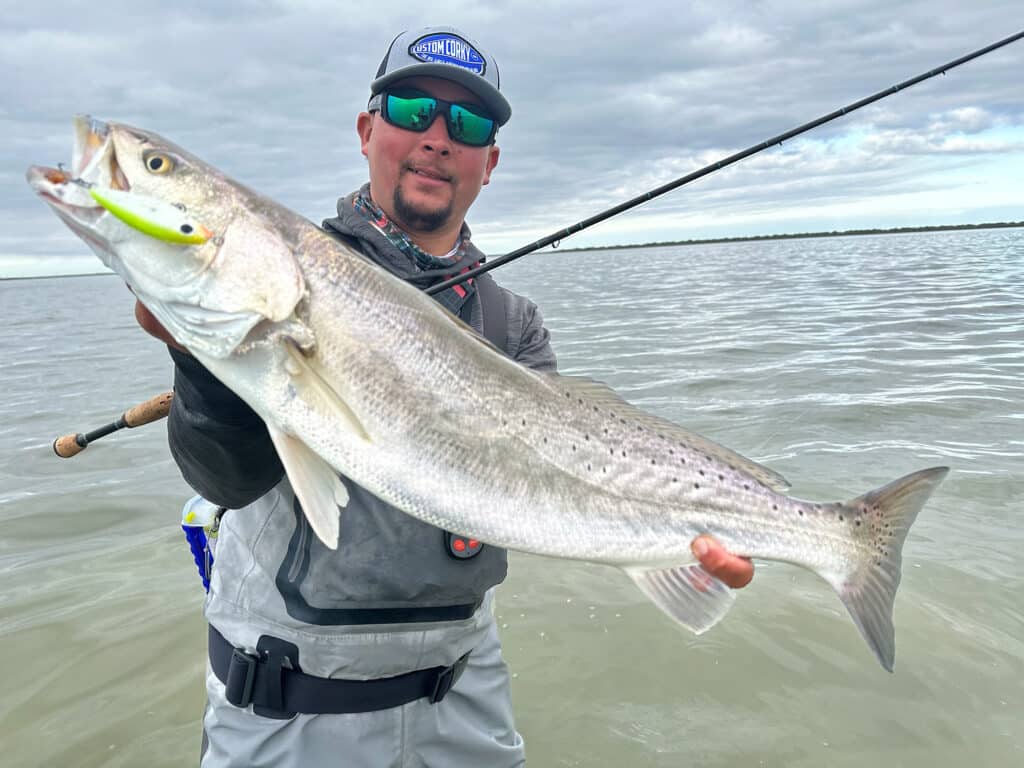 Texas seatrout Mansfield