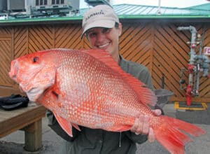 Florida red snapper