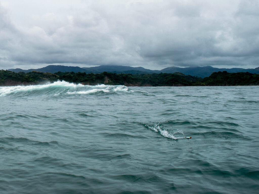 Fishing topwaters in Costa Rica