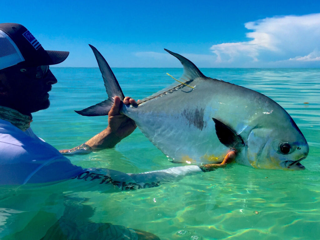 Permit fishing and tagging