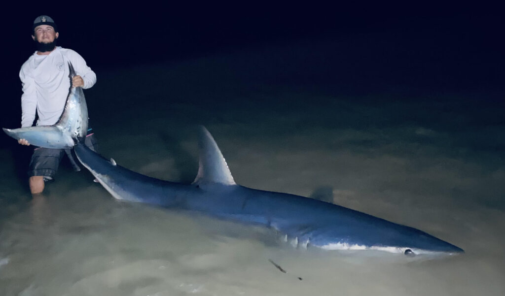 shortfin mako shark caught on Florida beach