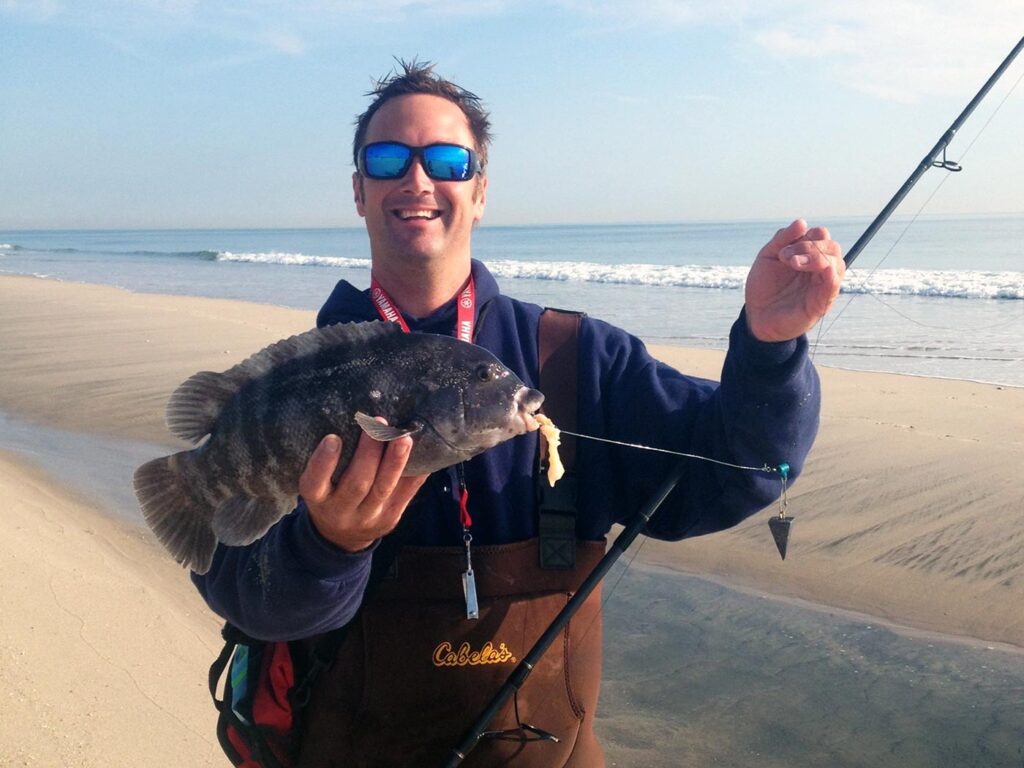 Blackfish tautog surf fishing