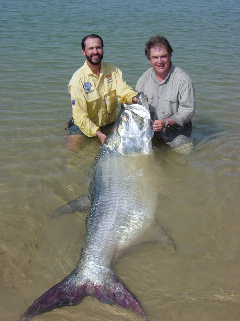 All Tackle World Record Tarpon