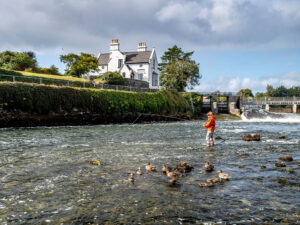 Salmon fishing at the Galway Weir