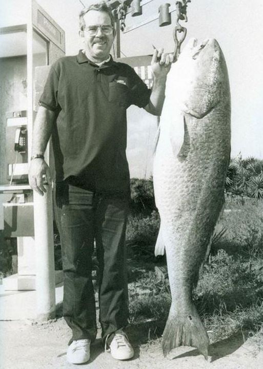 All Tackle World Record Red Drum