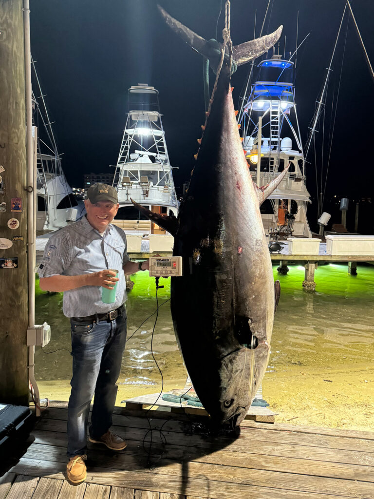 Gulf bluefin tuna weigh in