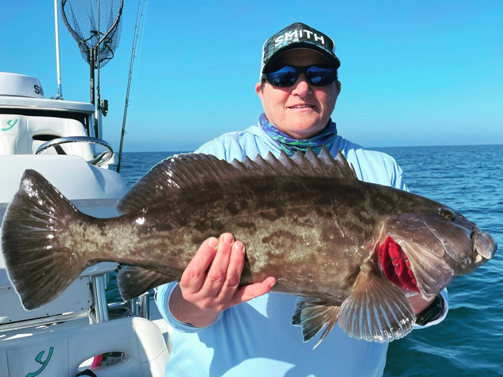 Gag grouper catch from the Gulf of Mexico