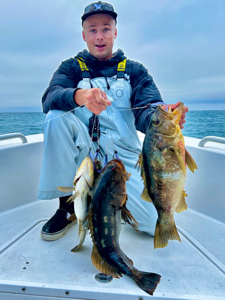 5 calico bass caught on A Rig
