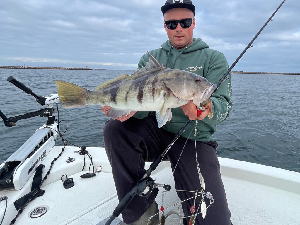 A Rig catches a big sand bass