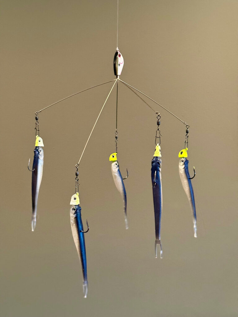 A rig with jigheads and soft plastics