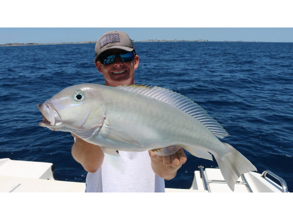 Blueline tilefish caught at New Jersey artificial reef