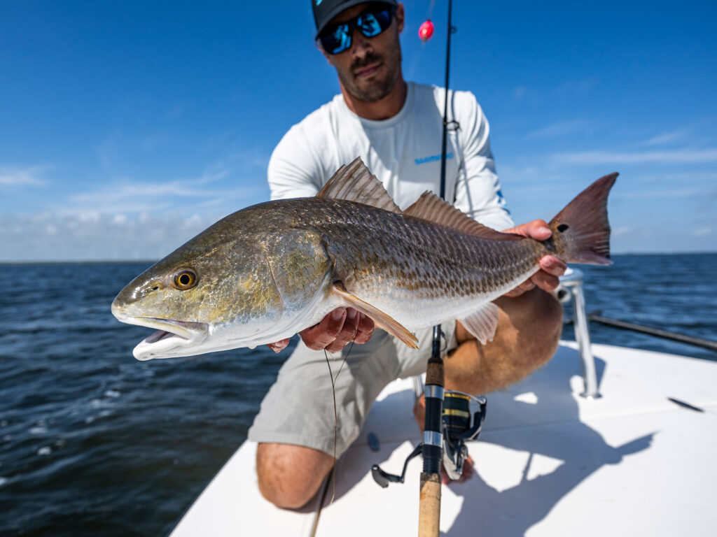 catching redfish on a cork rig