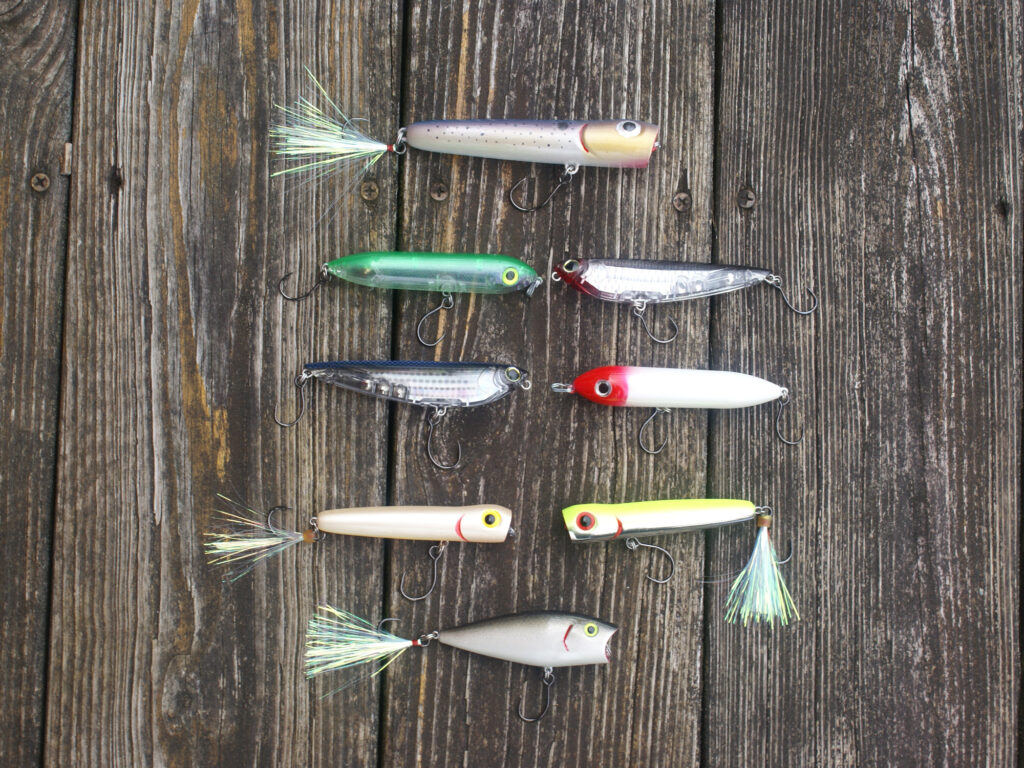 Selection of fishing lures for Maryland inshore fishing.