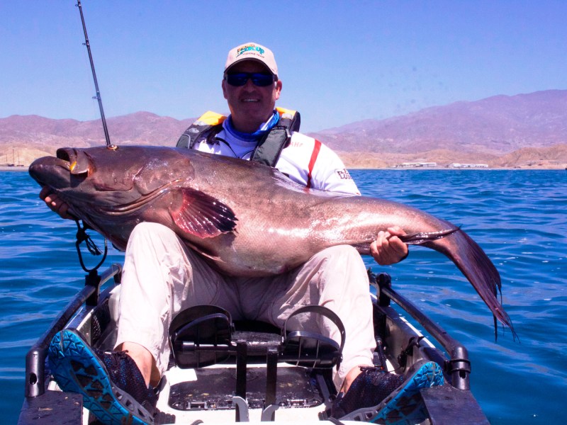 All-tackle world record broomtail grouper