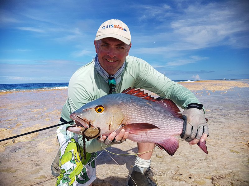 big bohar snapper