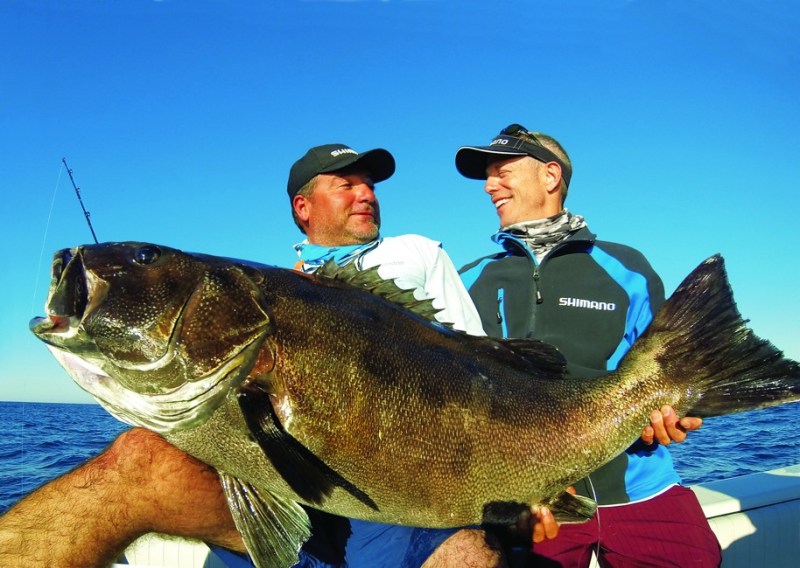 A Forgotten Place Giant sea bass