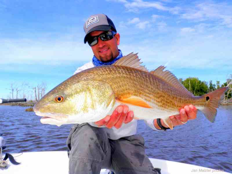 02_floridainshoreslam1red2.jpg