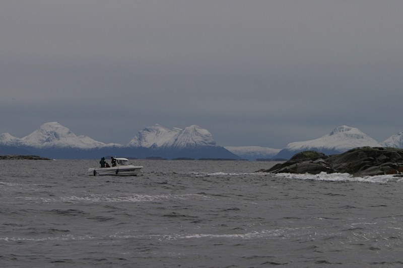 Wild North Atlantic fishing adventure