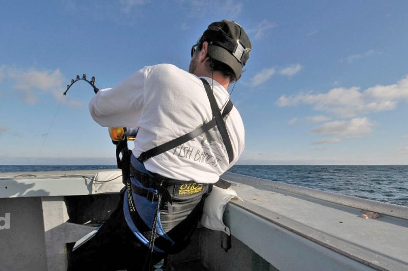 Fisherman on stand-up tuna fishing gear