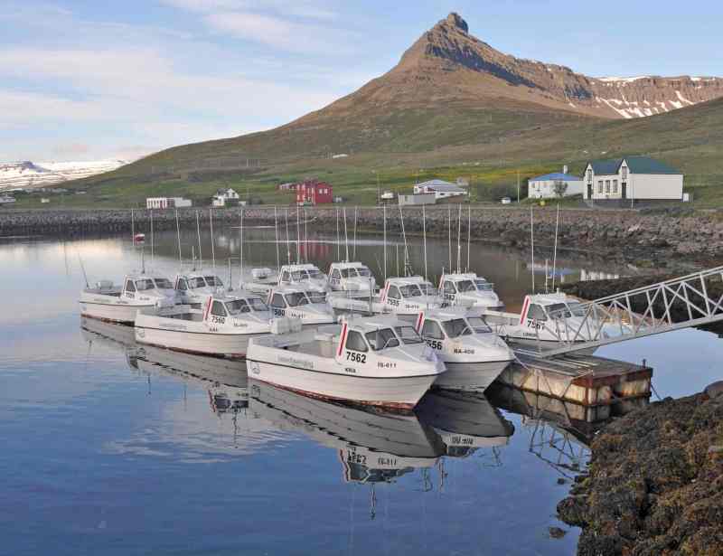 Saltwater fishing boats for rent Sudavik Iceland