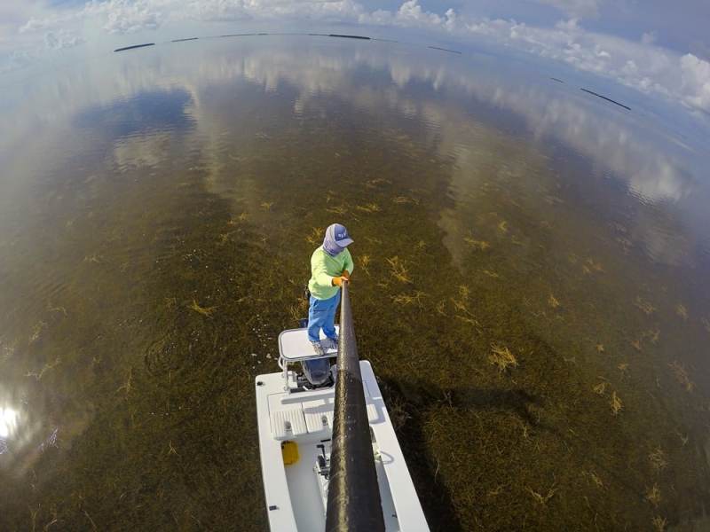 Poling flats for redfish saltwater fishing from skiff in Florida Bay