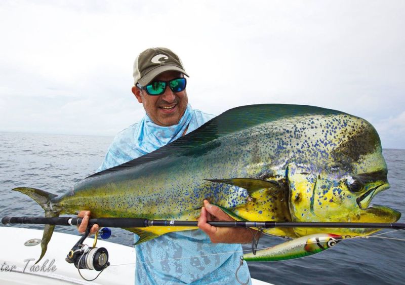 Big bull mahi caught on a popper, Panama