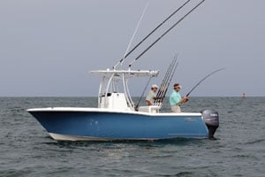 100-05br_Seaswirl300.jpg