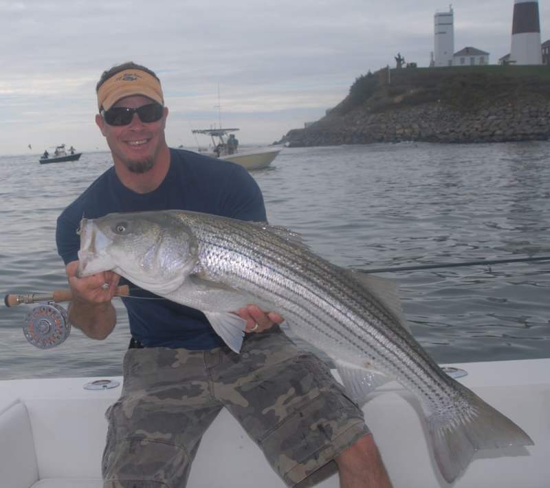 Angler holding a striper caught on fly in Montauk, Long Island, New York while flats fishing
