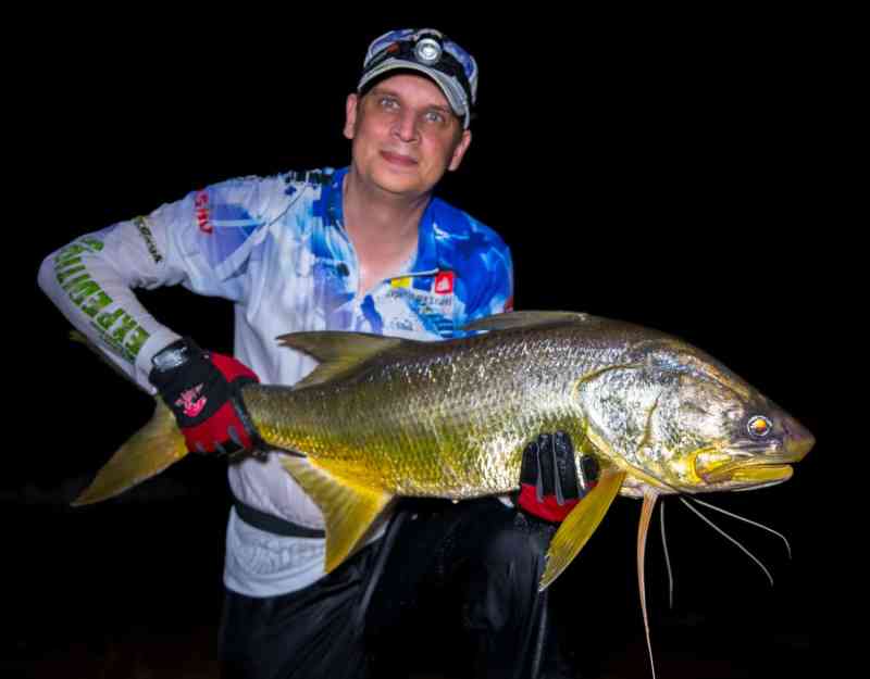 Fishing Gabon on the west African coast - an African threadfin