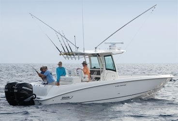 1109br_whaler368 1109br_whaler368