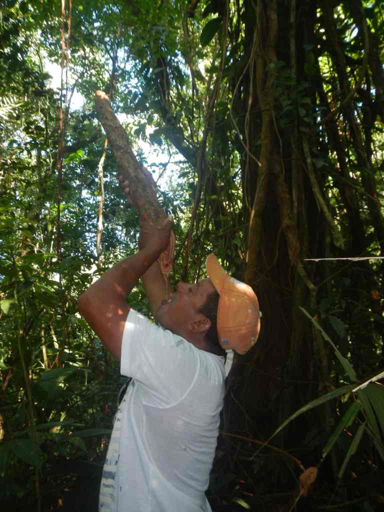 13 dscn2689.jpg