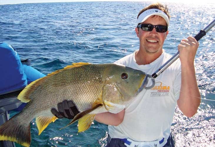 Fish Facts V Fish Facts V