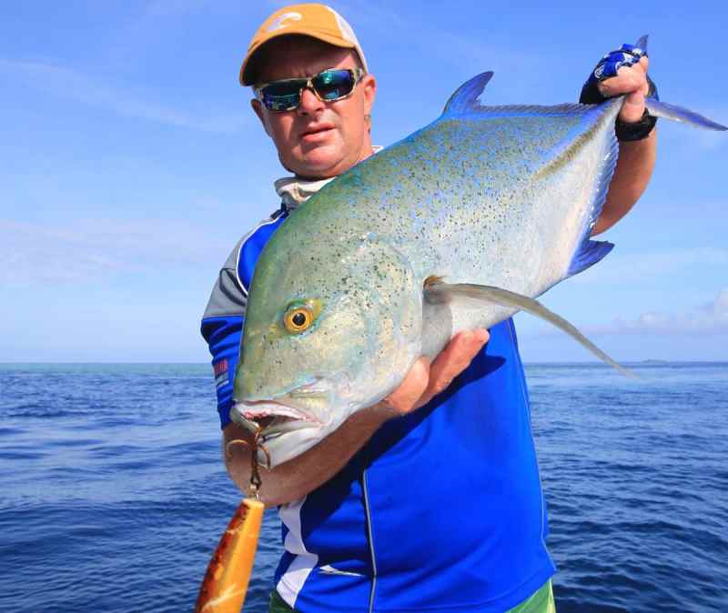 Huge bluefin trevally