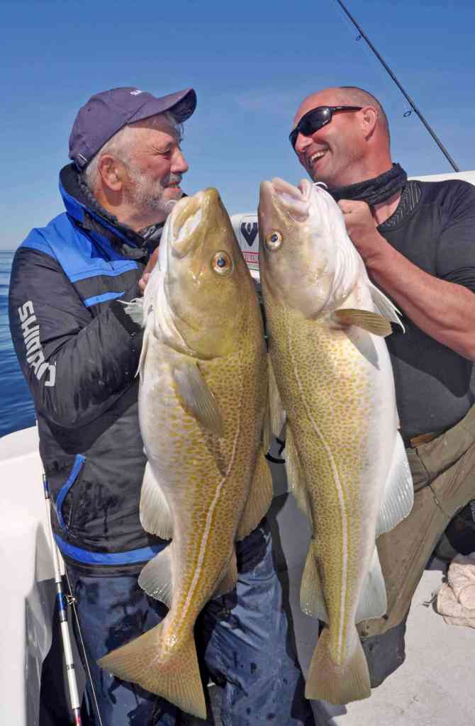 Two anglers holding cod fish caught saltwater fishing Talknafjordur Iceland