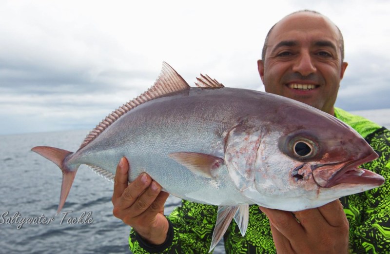 Fortune jack caught on a jig in Panama